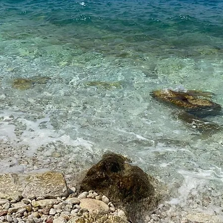 מלון דירות Dolphin