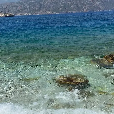 Dolphin מלון דירות 3*