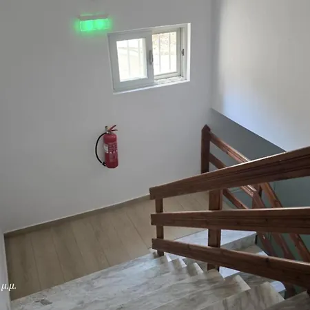 Dolphin קרפאטוס