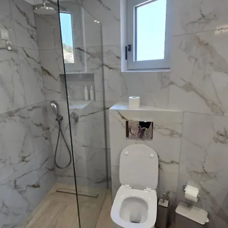 Dolphin קרפאטוס