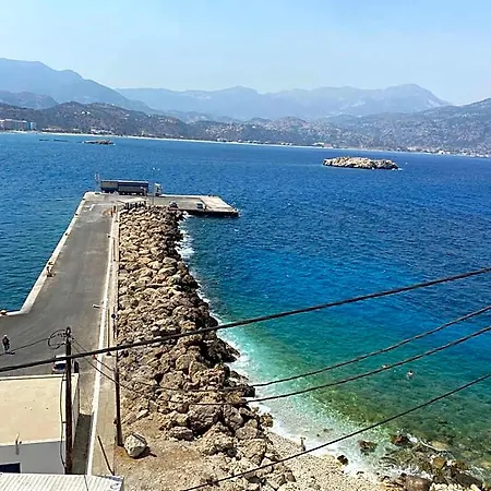 Dolphin Karpathos