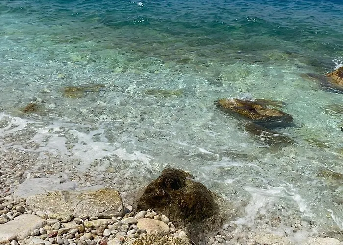 شقة فندقية Dolphin