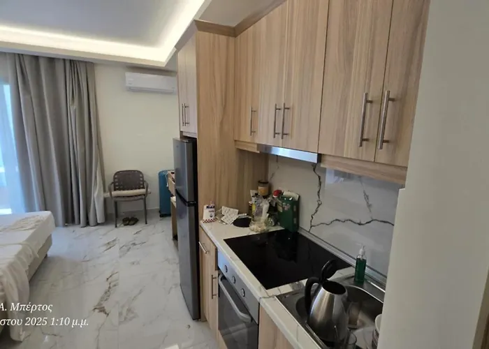 Dolphin كارباثوس