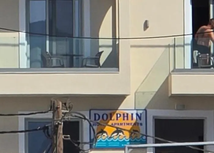 Dolphin Karpathos
