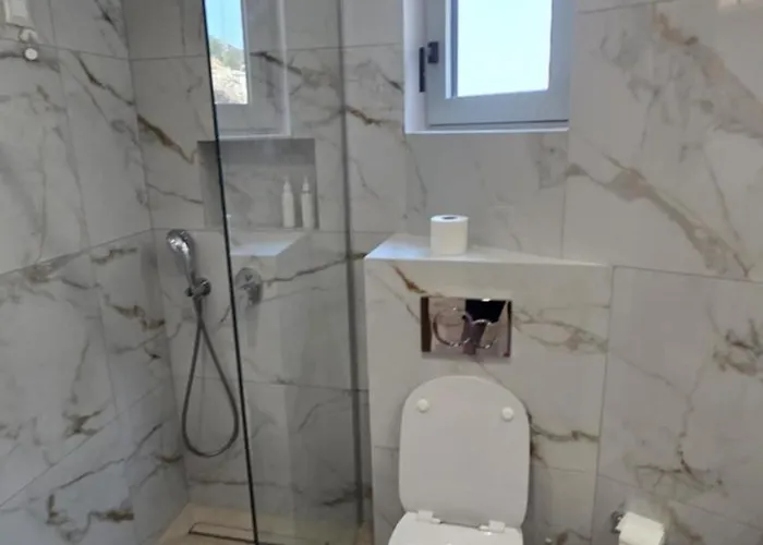 Dolphin كارباثوس