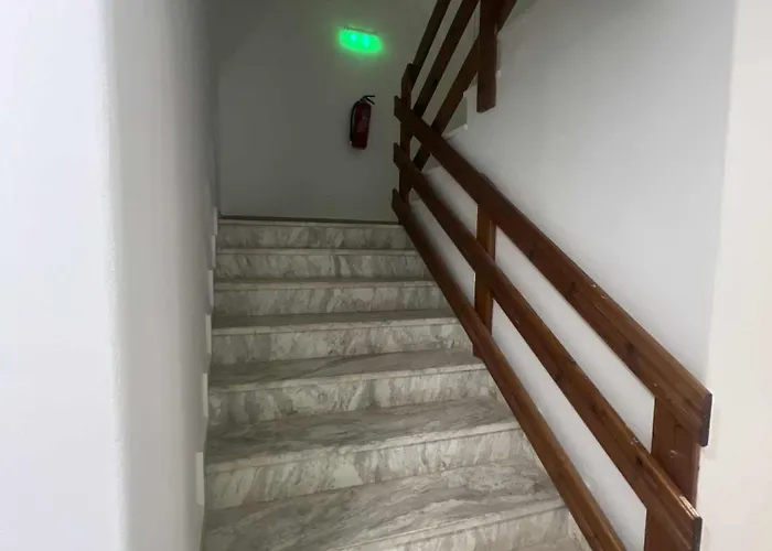 Dolphin كارباثوس